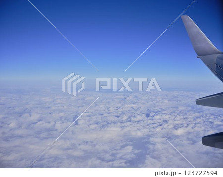 飛行機の翼 飛行機の翼 123727594