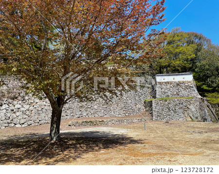 備中松山城 123728172