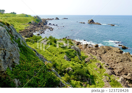 葦毛崎展望台から岩場越しに太平洋を見た風景　青森県八戸市鮫町 123728426