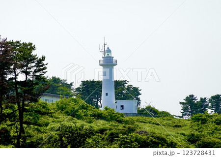 太平洋を臨む葦毛崎展望台から鮫角灯台を見た風景 青森県八戸市鮫町 太平洋を臨む葦毛崎展望台から鮫角灯台を見た風景 青森県八戸市鮫町 123728431