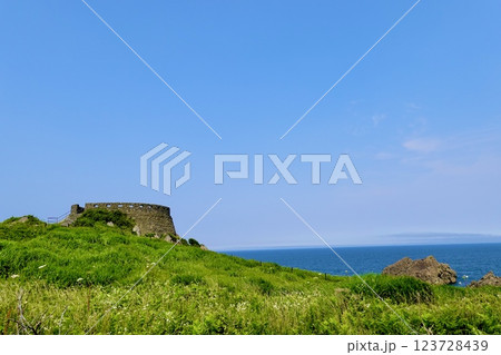 葦毛崎展望台越しに太平洋を見た風景　青森県八戸市鮫町 123728439
