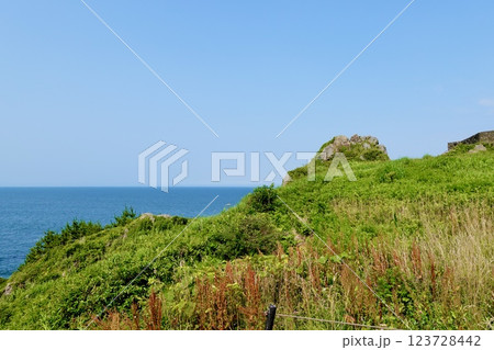 葦毛崎展望台の岩場越しに太平洋を見た風景 青森県八戸市鮫町 葦毛崎展望台の岩場越しに太平洋を見た風景 青森県八戸市鮫町 123728442