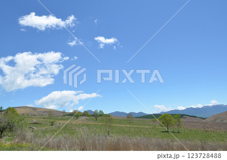 高層湿原 長野県霧ヶ峰高原 高層湿原 長野県霧ヶ峰高原 123728488