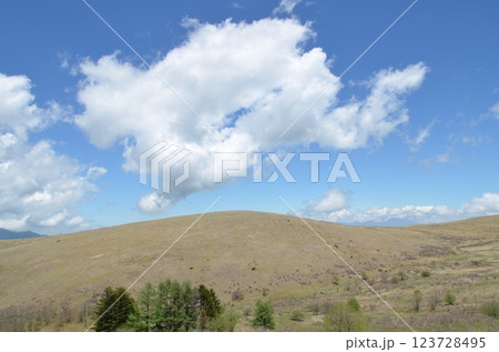 高層湿原 長野県霧ヶ峰高原 高層湿原 長野県霧ヶ峰高原 123728495