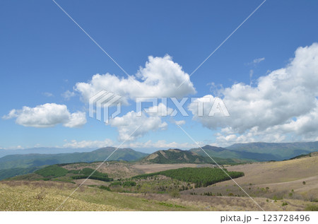 高層湿原　長野県霧ヶ峰高原 123728496