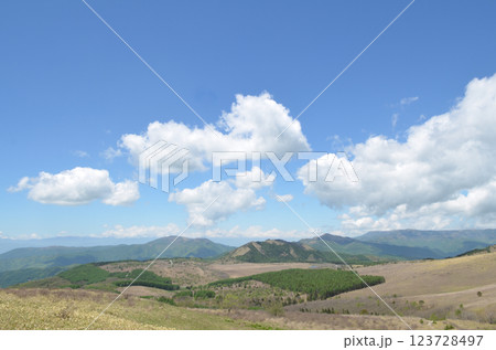 高層湿原　長野県霧ヶ峰高原 123728497