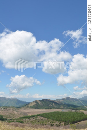 高層湿原　長野県霧ヶ峰高原 123728498