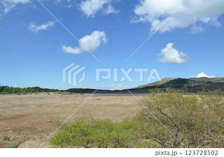 八島湿原　長野県霧ヶ峰高原 123728502