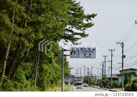 青森　県道19号線　種差海岸と蕪島へ誘導する道路標識がある風景　青森県北上郡おいらせ町 123728503
