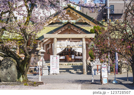 桜が満開の季節の桜宮神社(櫻宮) --大阪府大阪市都島区中野町-- 桜が満開の季節の桜宮神社(櫻宮) --大阪府大阪市都島区中野町-- 123728507