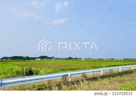 青森　県道10号線　道路沿いに畑が広がる風景　青森県北上郡六戸町 123728511