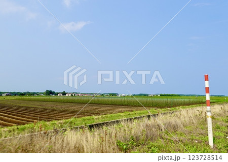 青森　県道10号線　道路沿いに畑が広がる風景　青森県北上郡六戸町 123728514