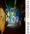 ノスタルジックな路地裏 123728531