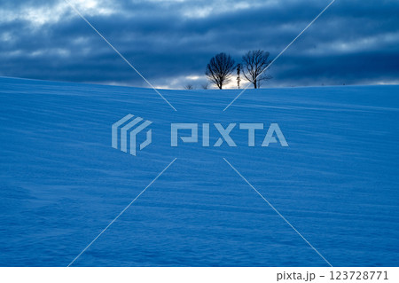 北海道の冬　美瑛・富良野 123728771