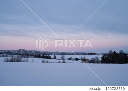 北海道の冬　美瑛・富良野 123728780