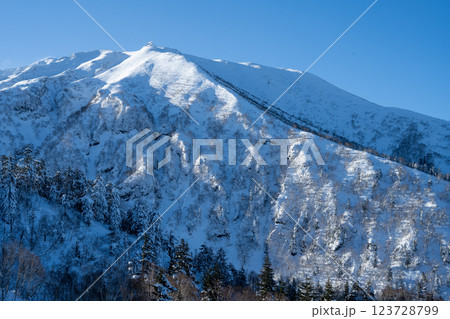 北海道の冬　美瑛・富良野 123728799