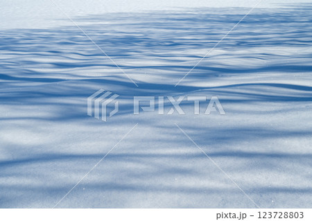 北海道の冬　美瑛・富良野 123728803