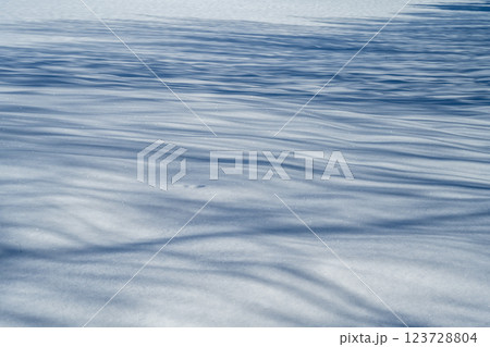 北海道の冬 美瑛・富良野 北海道の冬 美瑛・富良野 123728804