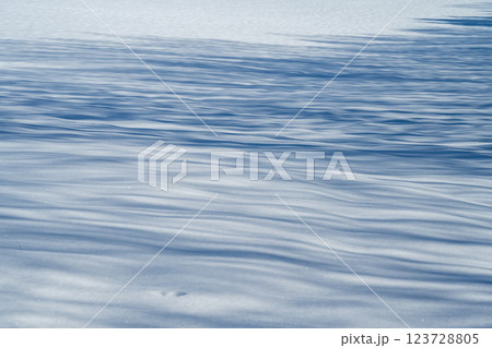 北海道の冬　美瑛・富良野 123728805