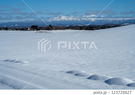 北海道の冬 美瑛・富良野 北海道の冬 美瑛・富良野 123728827