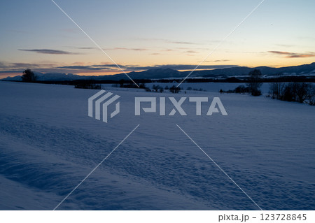 北海道の冬　美瑛・富良野 123728845