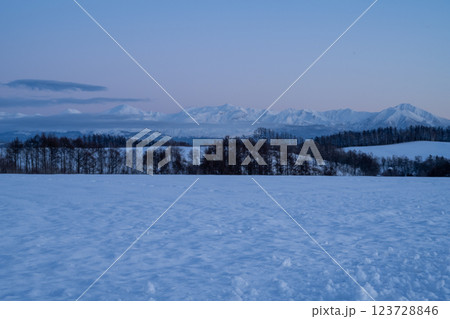 北海道の冬　美瑛・富良野 123728846