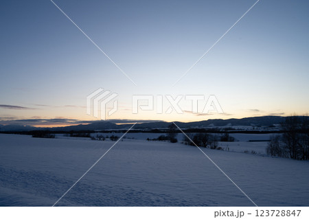 北海道の冬　美瑛・富良野 123728847