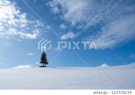 北海道の冬　富良野・美瑛 123729234