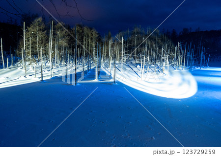 北海道の冬 富良野・美瑛 北海道の冬 富良野・美瑛 123729259