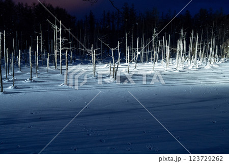 北海道の冬 富良野・美瑛 北海道の冬 富良野・美瑛 123729262