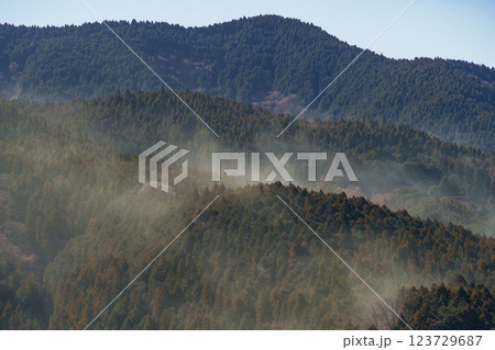 山から大量に飛散する春のスギ花粉 山から大量に飛散する春のスギ花粉 123729687