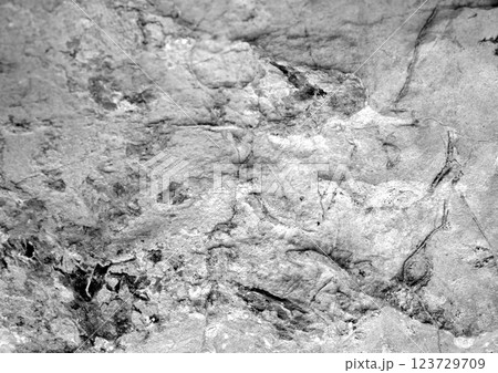 Stone in shades of gray with textures. Closeup. For design. Grunge gray banner 123729709