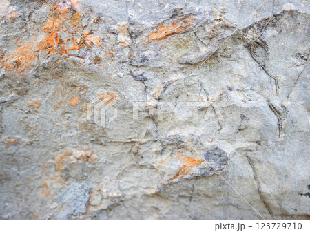 Dark gray stone with textures. Closeup. For design. Grunge gray banner Dark gray stone with textures. Closeup. For design. Grunge gray banner 123729710