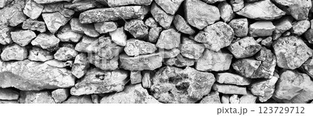 Texture of rock natural wall surface in gray tones with selective blur. 123729712