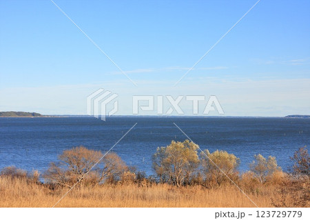 茨城県・土浦市・霞ヶ浦総合公園から望む霞ヶ浦 123729779