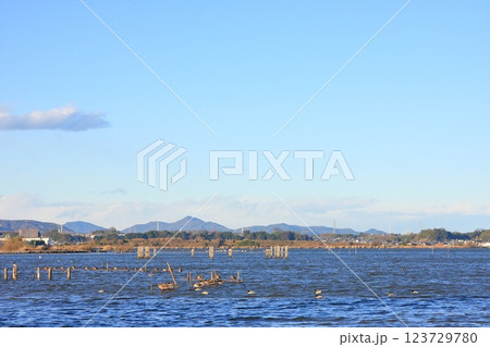 茨城県・土浦市・霞ヶ浦総合公園 茨城県・土浦市・霞ヶ浦総合公園 123729780