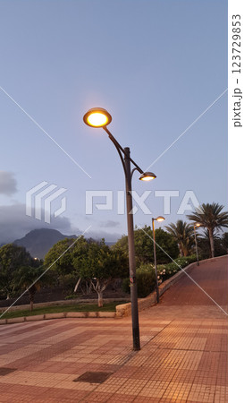 Lightlamp on the street with volcano on the background, Tenerife 123729853