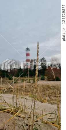 Vertical photography with lighthouse on background Vertical photography with lighthouse on background 123729877