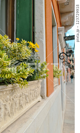 View of italian street with plant on window 123729918