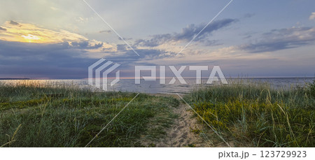 Beautiful sand beach with green grass 123729923