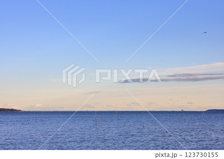茨城県・土浦市・霞ヶ浦 123730155
