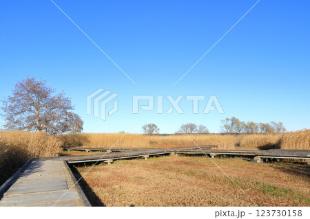 茨城県・土浦市・霞ヶ浦総合公園 茨城県・土浦市・霞ヶ浦総合公園 123730158