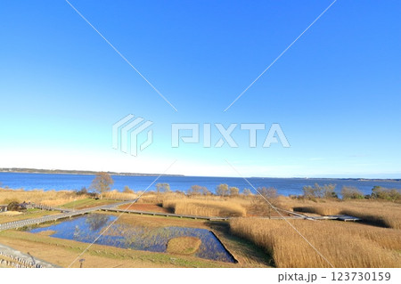 茨城県・土浦市・霞ヶ浦総合公園 茨城県・土浦市・霞ヶ浦総合公園 123730159