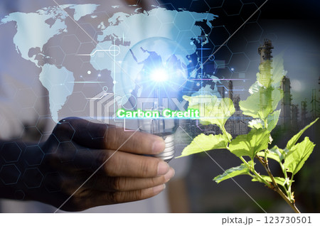 Carbon credits are the amount of greenhouse gas emissions that can be reduced by implementing Clean Development Mechanism projects. 123730501