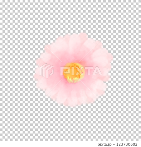 可愛的水彩風格非洲菊插圖 123730602