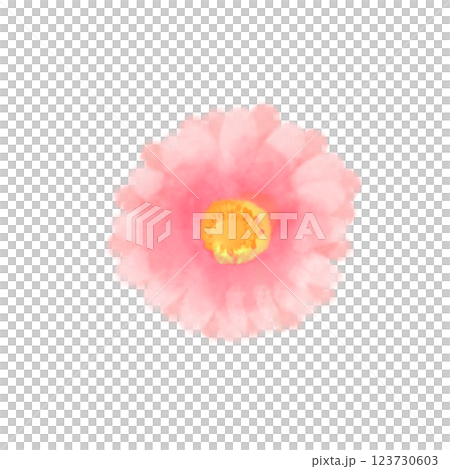 粉紅色的可愛水彩風格非洲菊插圖 粉紅色的可愛水彩風格非洲菊插圖 123730603