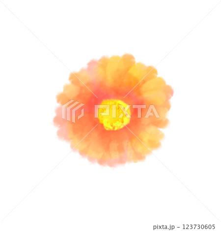 かわいい水彩風のガーベラのイラスト オレンジ かわいい水彩風のガーベラのイラスト オレンジ 123730605
