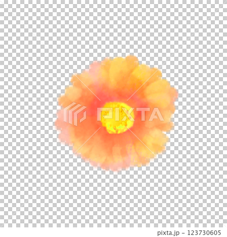 可愛的水彩風格非洲菊插圖橙色 可愛的水彩風格非洲菊插圖橙色 123730605