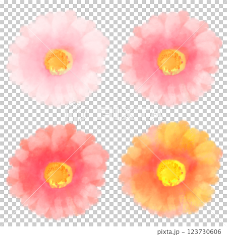 可愛的水彩風格非洲菊插圖 123730606