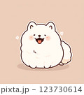 嬉しそうに笑う白いポメラニアン 123730614